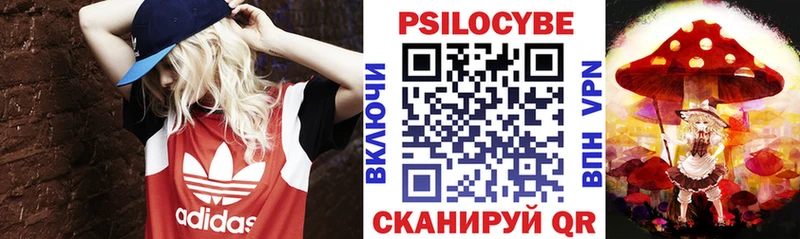 наркотики  Заозёрск  Псилоцибиновые грибы ЛСД 